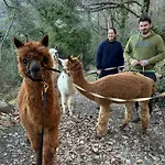 Apartment Il Castellare Con Alpaca