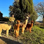 Il Castellare Con Alpaca *
