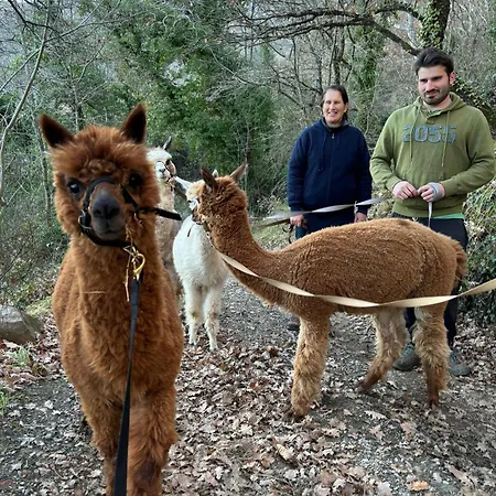 Appartement Il Castellare Con Alpaca