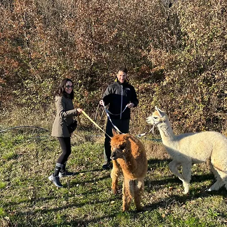 Apartment Il Castellare Con Alpaca