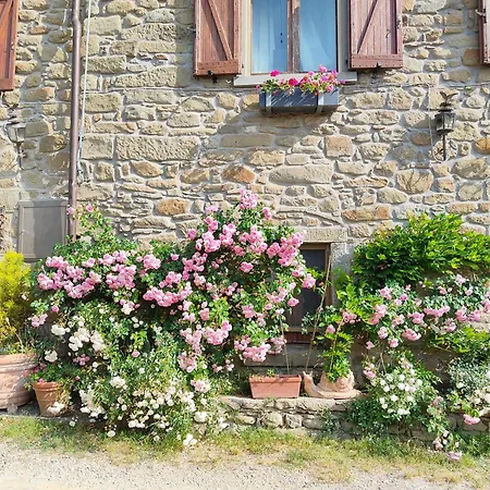 Il Castellare Con Alpaca Apartment